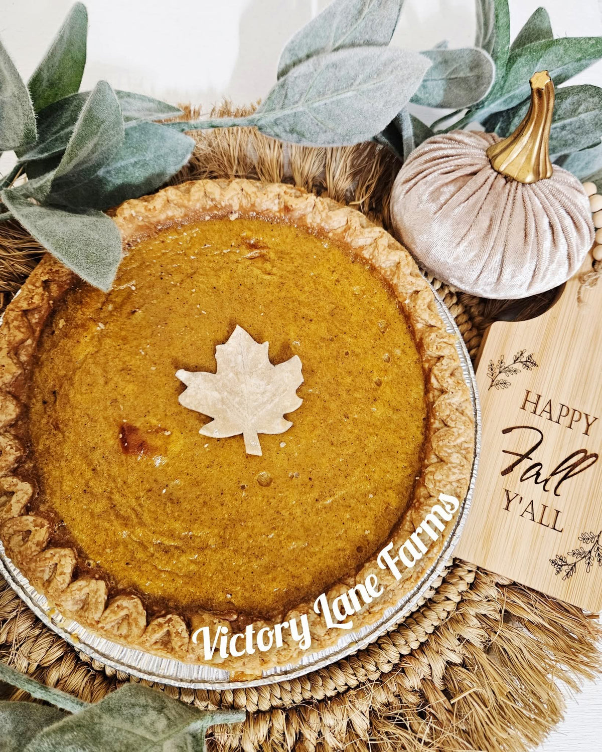 LEGENDARY Pumpkin Pie