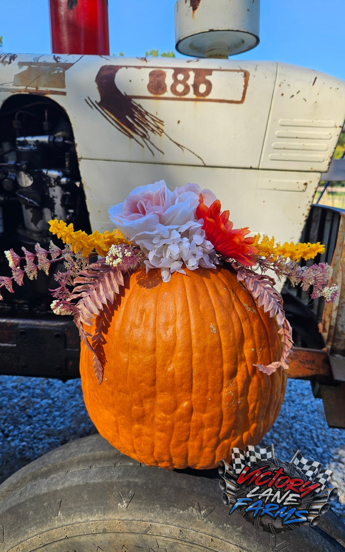 Fancy Fundraising Pumpkin
